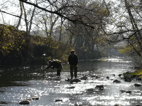 Evolutions morphologiques