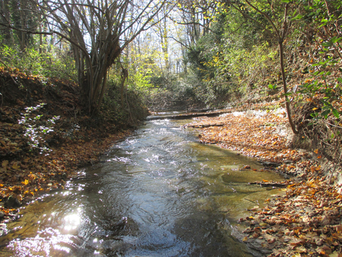 Restauration des continuités écologiques