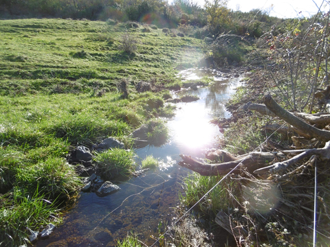 Etre riverain, droits et obligations